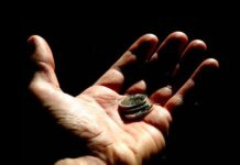 Cómo conseguir Desarrollo Web y Marketing Online a bajo costo