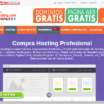 Pantalla de la pestaña Hosting – Comprar hosting en Argentina