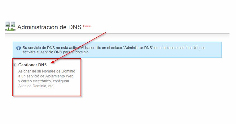 Al final de la pagina del dominio esta el administrador de registros DNS