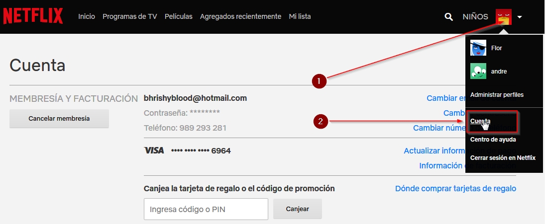 Como salir de una cuenta de netflix