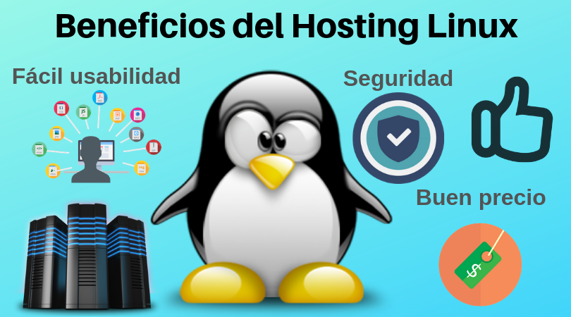 Beneficios de un Hosting Linux - ¿Qué es hosting linux?