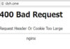 3 soluciones para el Error 400 Bad Request (Request Header or Cookie Too Large) 400 bad request