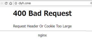 3 soluciones para el Error 400 Bad Request (Request Header or Cookie Too Large) 400 bad request