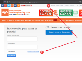 olvide la contraseña en dominio-y-hosting.com