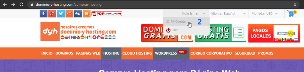 Entrar a panel de usuario de Dominio-y-hosting.com